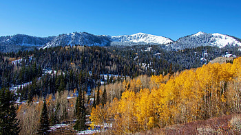 Near Blood Lake, Utah, hills, fall, autumn, landscape, trees, colors, sky, mountains HD wallpaper