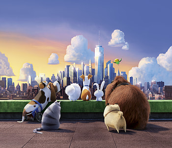 The Secret Life Of Pets 10k, the-secret-life-of-pets, movies, animated-movies, cartoons HD wallpaper