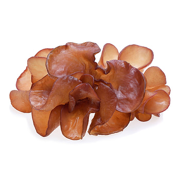 Fresh Thai mushrooms, Imported from Thailand, Authentic Thai cuisine, Thai food online HD phone wallpaper
