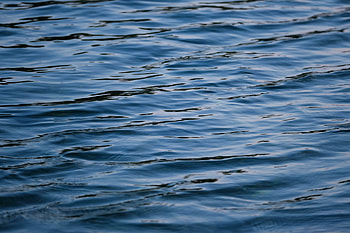 Nature, Water, Waves, Ripples, Ripple, Surface, Wavy HD wallpaper