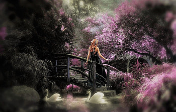 the swan garden, garden, butterflies, swans, girl HD wallpaper