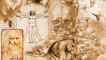 Leonardo da Vinci, Celebs, Vitruvian Man, Artistic masterpiece HD wallpaper