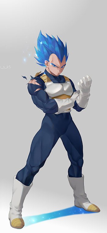 Vegeta (Dragon Ball), Anime, Super Saiyan Blue, Dragon Ball HD phone wallpaper
