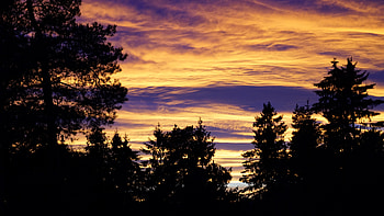 Nature, Trees, Sky, Twilight, Clouds, Dusk, Outlines, Evening HD wallpaper