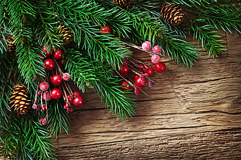 Fir branches, branches, fir, tree, red HD wallpaper