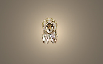 dreamcatcher, dreamcatcher, wolf, wolf, light background . HD wallpaper
