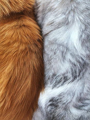 Macro, Texture, Textures, Wool, Fur HD phone wallpaper