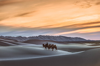 Gobi Desert, Mongolia HD wallpaper