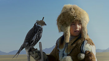 Mongolia, Animal, Falcon, Asian, Bird, Falconry, Birds HD wallpaper