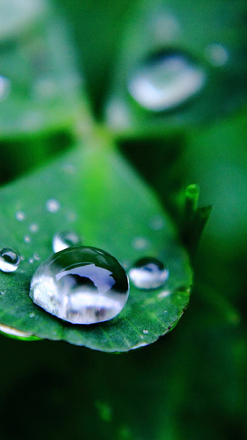 Water Drop Notch, Water, Drop HD phone wallpaper
