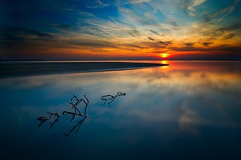 Leaving Sun, awesome, colors, imperturbability, grasslands, reflections, nice, sunbeam, placidity, calm, tranquility, mirror, sunshine, white, grass, multicolor, green, nature, black, countenance, gold, beauty, quiet, laguna, ph, quietness, lakes, hush, pink, yellow, horizon, aplomb, plants, temper, curve, composure, islands, still, sunsets, sundown, colorful, easygoing, natural, ambar, colours, serenity, , amazing, water, sun, pond, coolness, golden, lull, amber, reflected, sunrises, lagoons, beautiful, orange, silence, sunrays, cool, clouds, branches, sky, calmness, rivers HD wallpaper