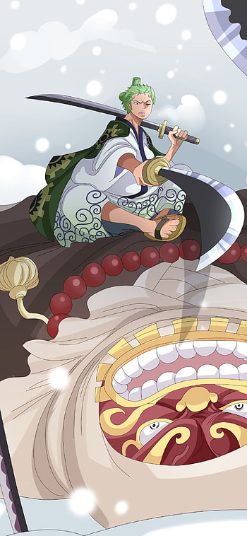 Zoro & Gyukimaru: Epic One Piece Warrior, Roronoa Zoro, Anime, One Piece HD phone wallpaper