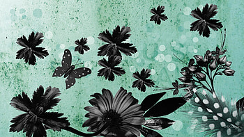 Darkness on Cyan, gothic, feathers, butterfly, firefox persona, goth, flowers, dark, grunge HD wallpaper