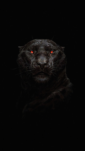 Tiger's glowing red eye, Minimal dark HD phone wallpaper
