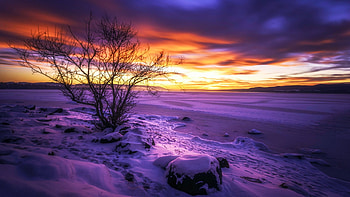Lake Tyrifjorden, Buskerud, Norway, winter, scandinavia, snow, colors, clouds, landscape, sky, sunset HD wallpaper