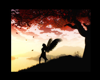 Angel At Dawn, dawn, angel, fantasy, female HD wallpaper
