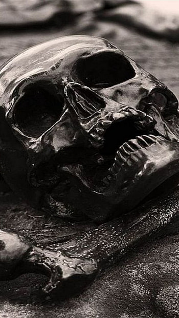 dark, skull HD phone wallpaper