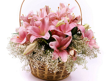 Flowers, Lilies, Lot, Basket HD wallpaper