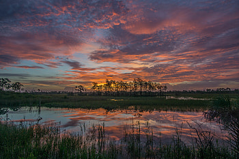 Nature, Trees, Sunset, Lake, Reflection HD wallpaper
