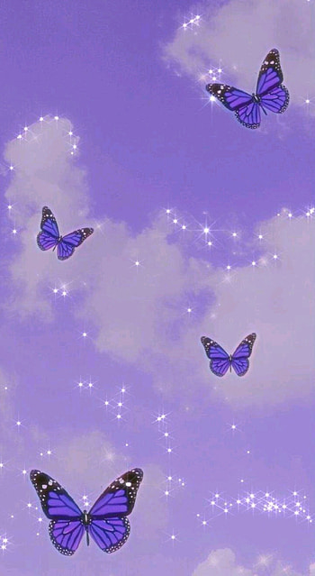 Purple buterflys, buterfly HD phone wallpaper