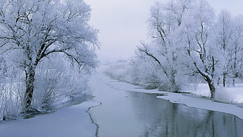 river in winter, mist, winter, river, ducks, trees, ice HD wallpaper