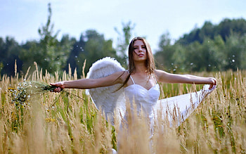 Angel in a Field, Field, Model, Wings, Blonde, Angel HD wallpaper