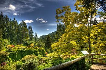 Nature, Trees, Playground, Platform, Nameplate, Plate, Brightly, Arboretum HD wallpaper
