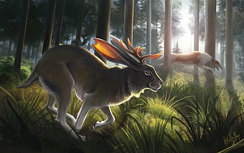 Forest run, dog, hare, art, running, bunny, fantasy, into the bear, forest, intothebear, rabbit HD wallpaper