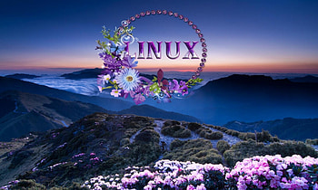 Linux, s, a, d, f HD wallpaper