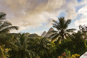 Landscape, Nature, Mountains, Palms, Island HD wallpaper