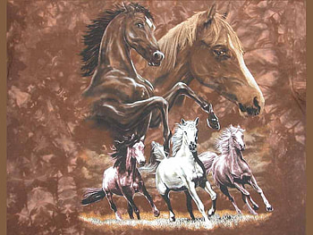 the stampede, horses, cd , stampede HD wallpaper