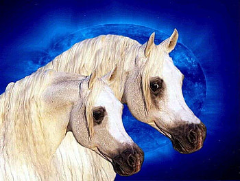 The Arabian Sisters, planets, white horses, moon, arabians, space, sky, nature, stars HD wallpaper