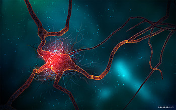 creative neuron cell & Background - , , Pics HD wallpaper