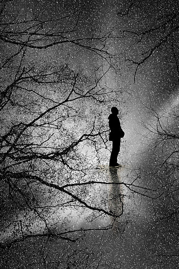 Rain, Silhouette, Branches, Bw, Chb, Human, Person HD phone wallpaper