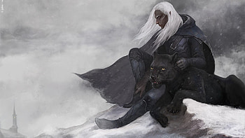 Forgotten Realms , Rich fantasy settings, Immersive world, Magic and mystery HD wallpaper