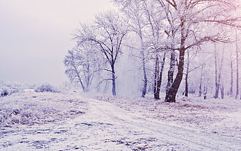 Landscape, Winter, Nature HD wallpaper