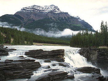 out there, river, waterfalls, mountains, pine trees HD wallpaper