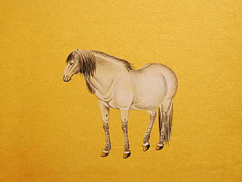 Horse, animal, drawing, yellow HD wallpaper