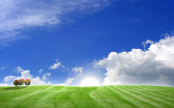 Nature, Trees, Sky, Clouds, Day, Meadows HD wallpaper