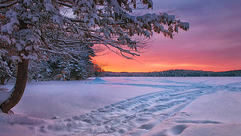 Colors of Winter, Keoka Lake, Maine, snow, trees, colors, landscape, clouds, sky, sunset, usa HD wallpaper