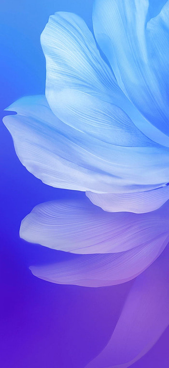 Vivo V17 Stock (Full +), Vivo HD phone wallpaper