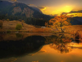 Beautiful Sunset, golden, beautiful, , sunset HD wallpaper