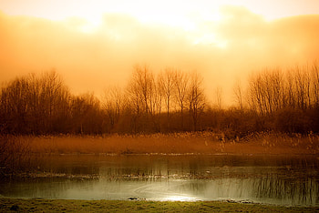 Orange..., colorful, colors, peaceful, beauty, mist, reflection, trees, water, sun, sunset, landscape, beautiful, orange, lake, light, nature HD wallpaper