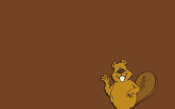 Vector, Minimalism, Tail, Teeth, Beaver, Waving HD wallpaper