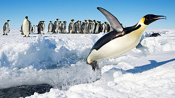 Ultra , Background , Antarctica HD wallpaper
