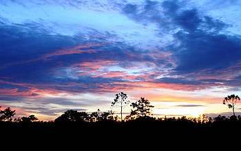 Nature, Trees, Sunset, Sky, Sun, Clouds, Patterns, Horizon, Outlines HD wallpaper