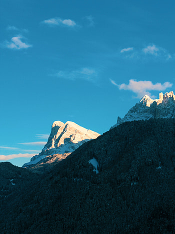 Sunny day, mountains, forest, nature HD phone wallpaper