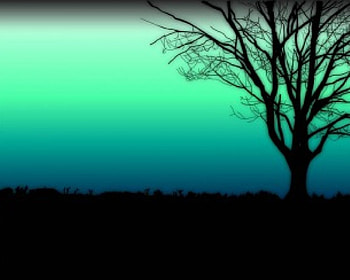 At Peace, green blue sky, silhouette, tree HD wallpaper