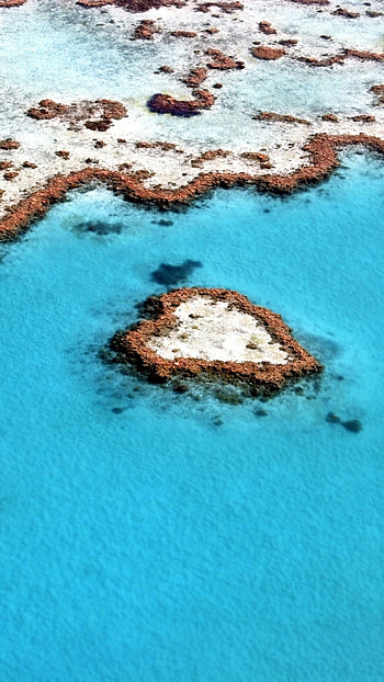 Screenbeauty heart reef, Great Barrier Reef, Natural beauty, Serene underwater world HD phone wallpaper