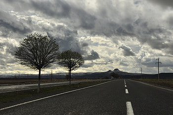 Gray Cloudy Sky, Bleak winter scene, Loneliness, Bare trees standing tall HD wallpaper